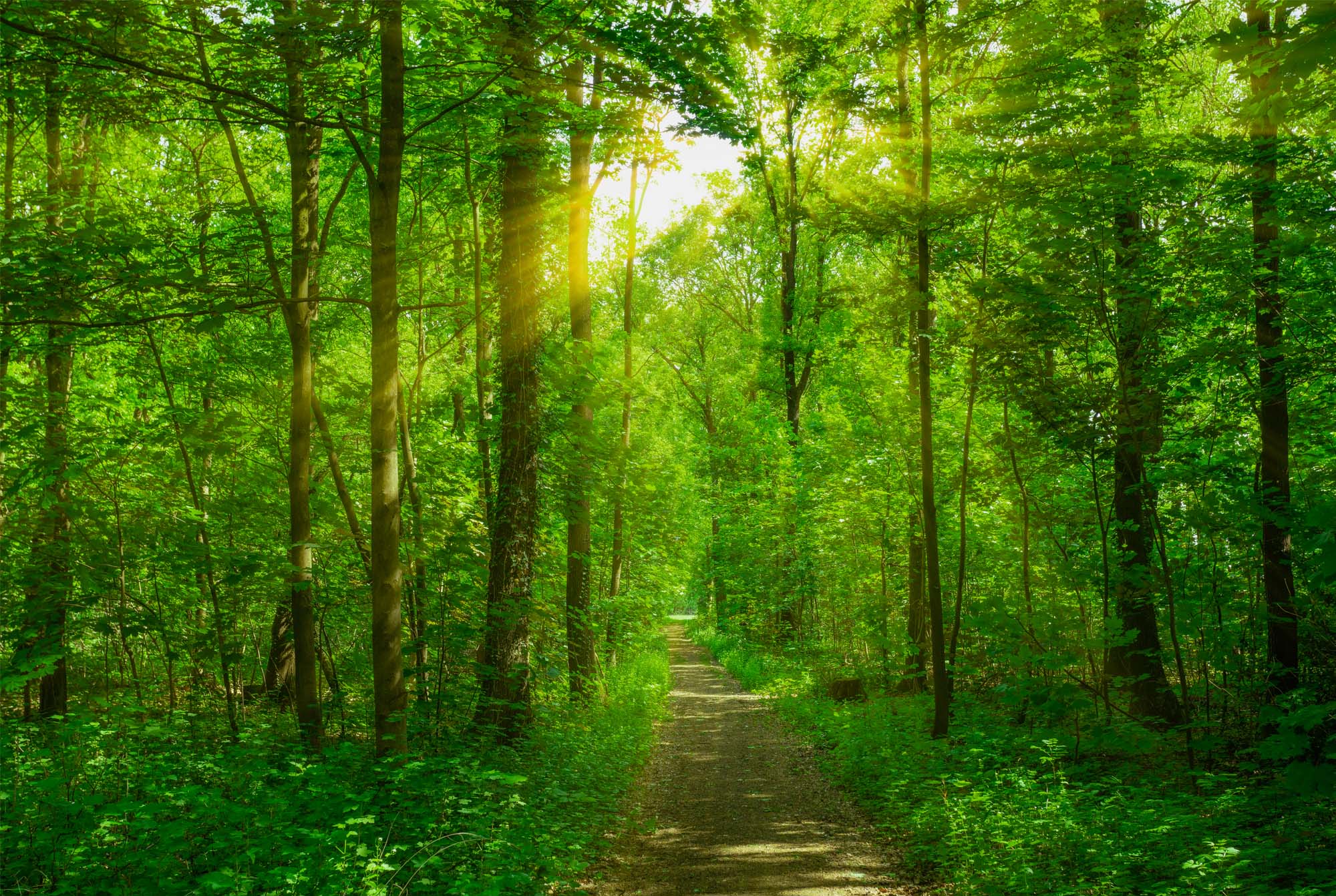 From grief to joy