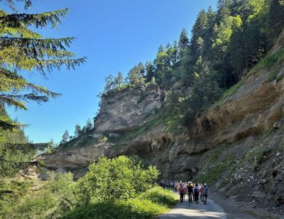 Wanderung nach Kühbruck